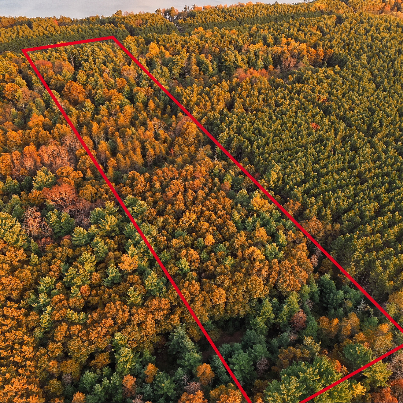 7.58 Acres on Petenwell Lake